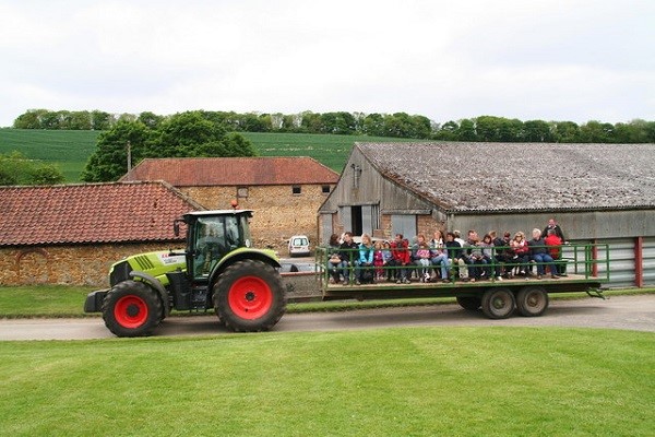 People riding on a tractor